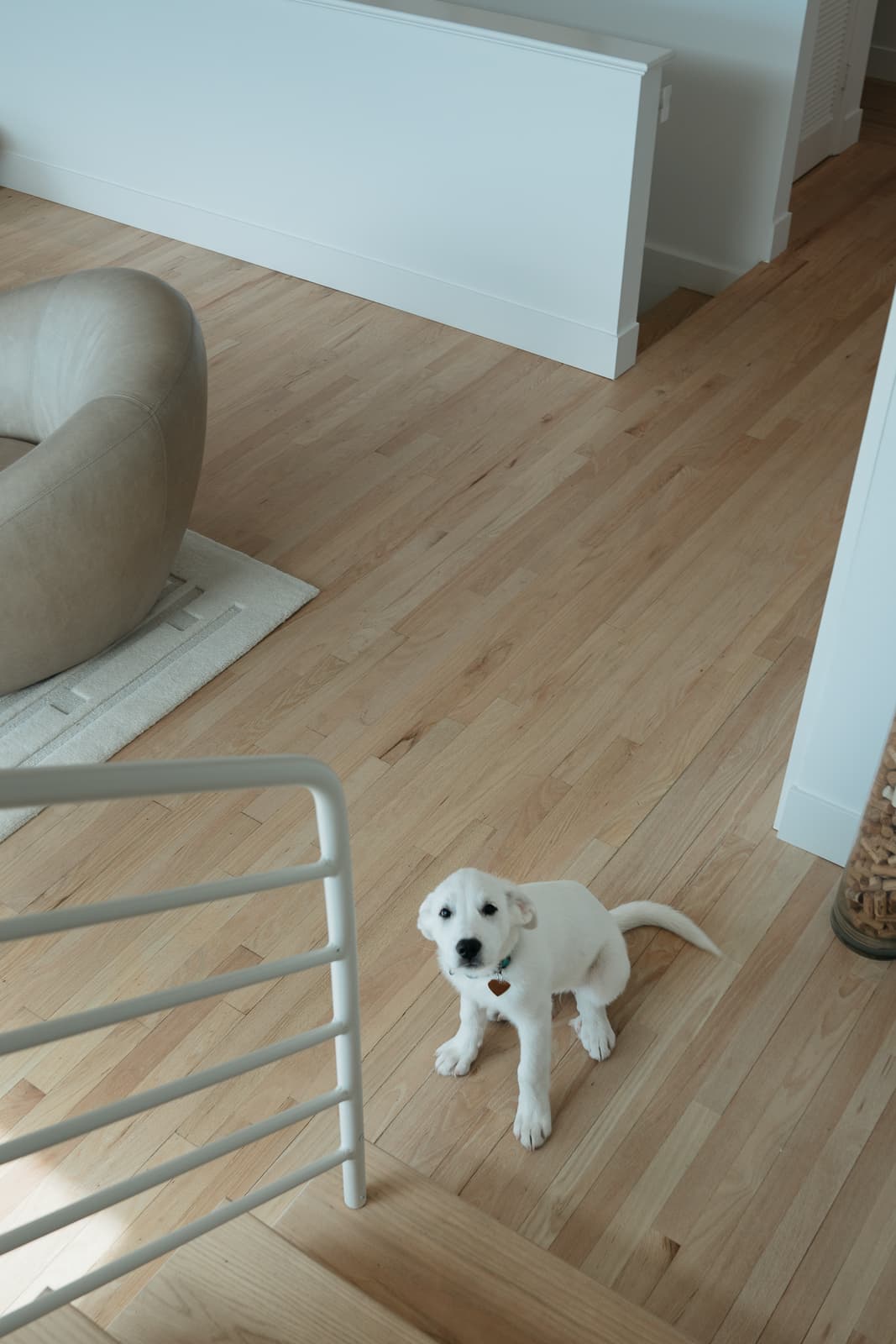 Pacific Palisades Luxury Remodel — photo 6